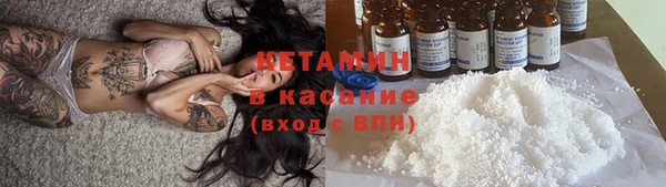 прущие грибы Абаза