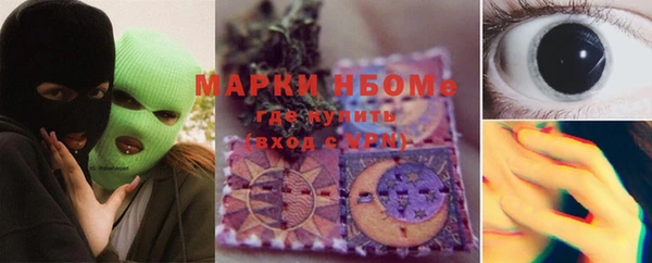 прущие грибы Абаза