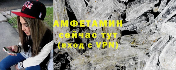 прущие грибы Абаза