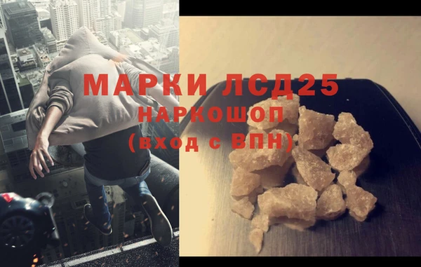 прущие грибы Абаза