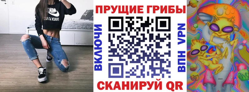 Галлюциногенные грибы Cubensis  Цоци-Юрт 
